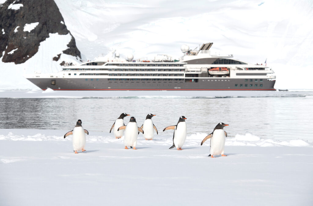 Penguins in front of a ship.